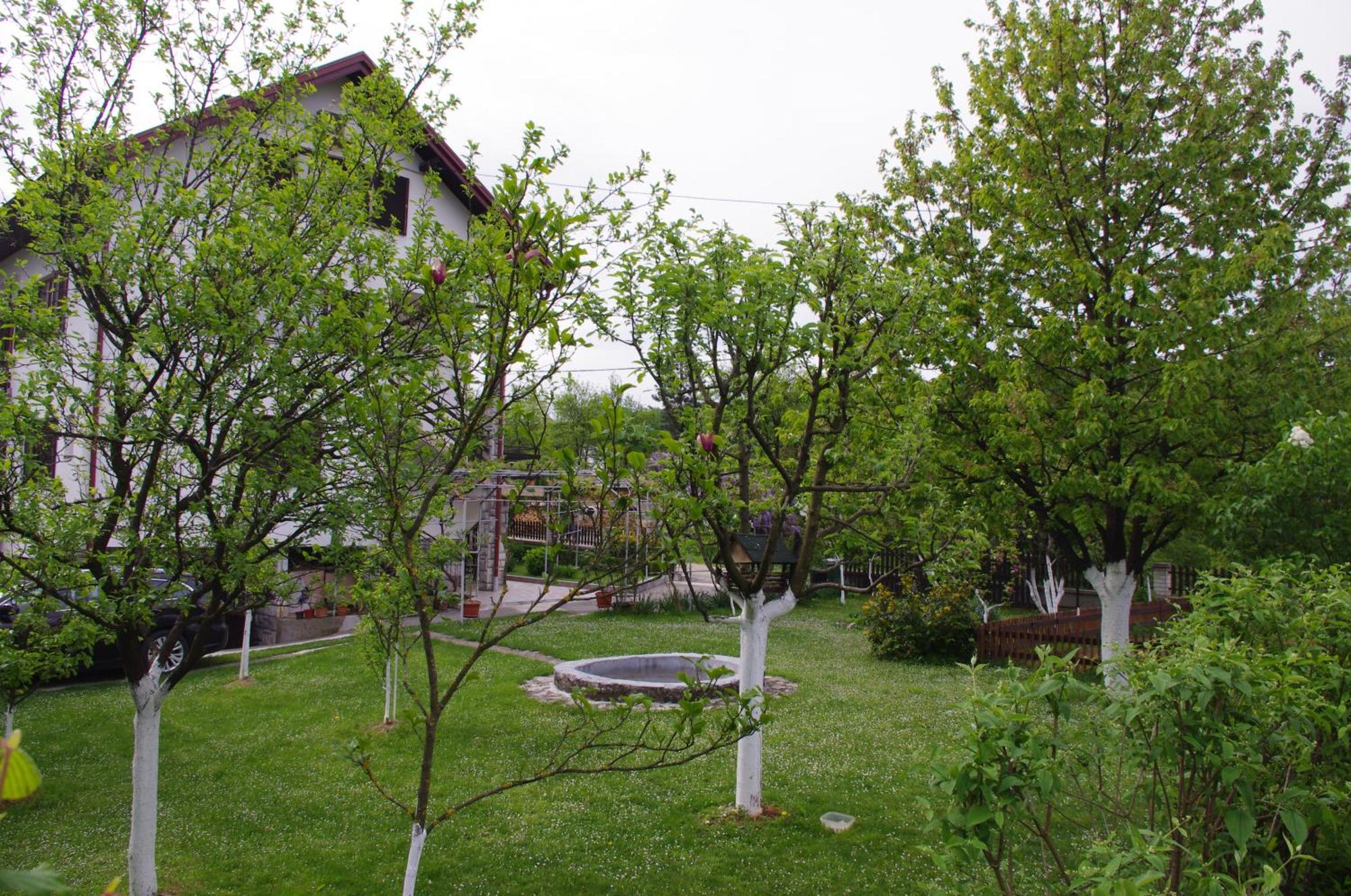 Apartment Tomy Slunj Exterior foto